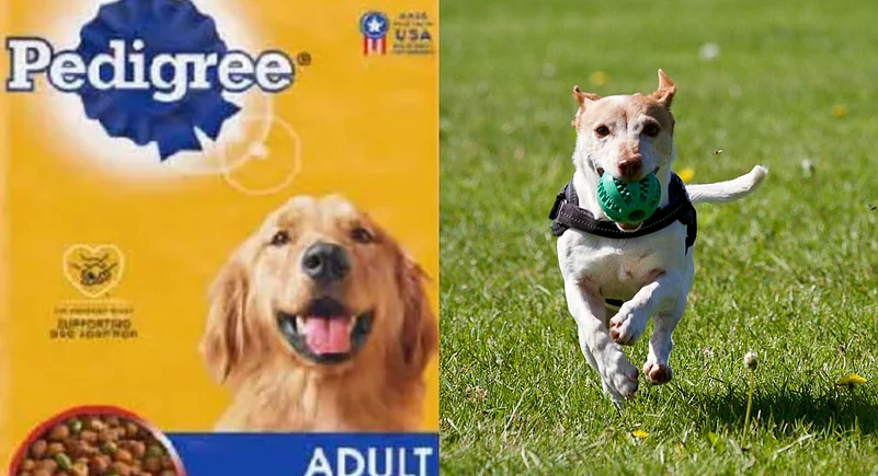 US FDA & Pexels