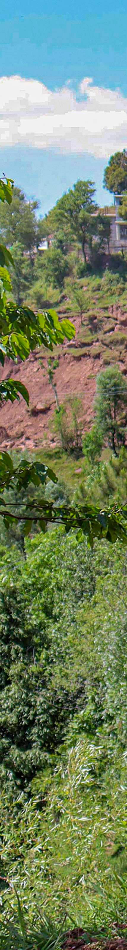 PTI :  Encounter between security forces and terrorists in Poonch. 