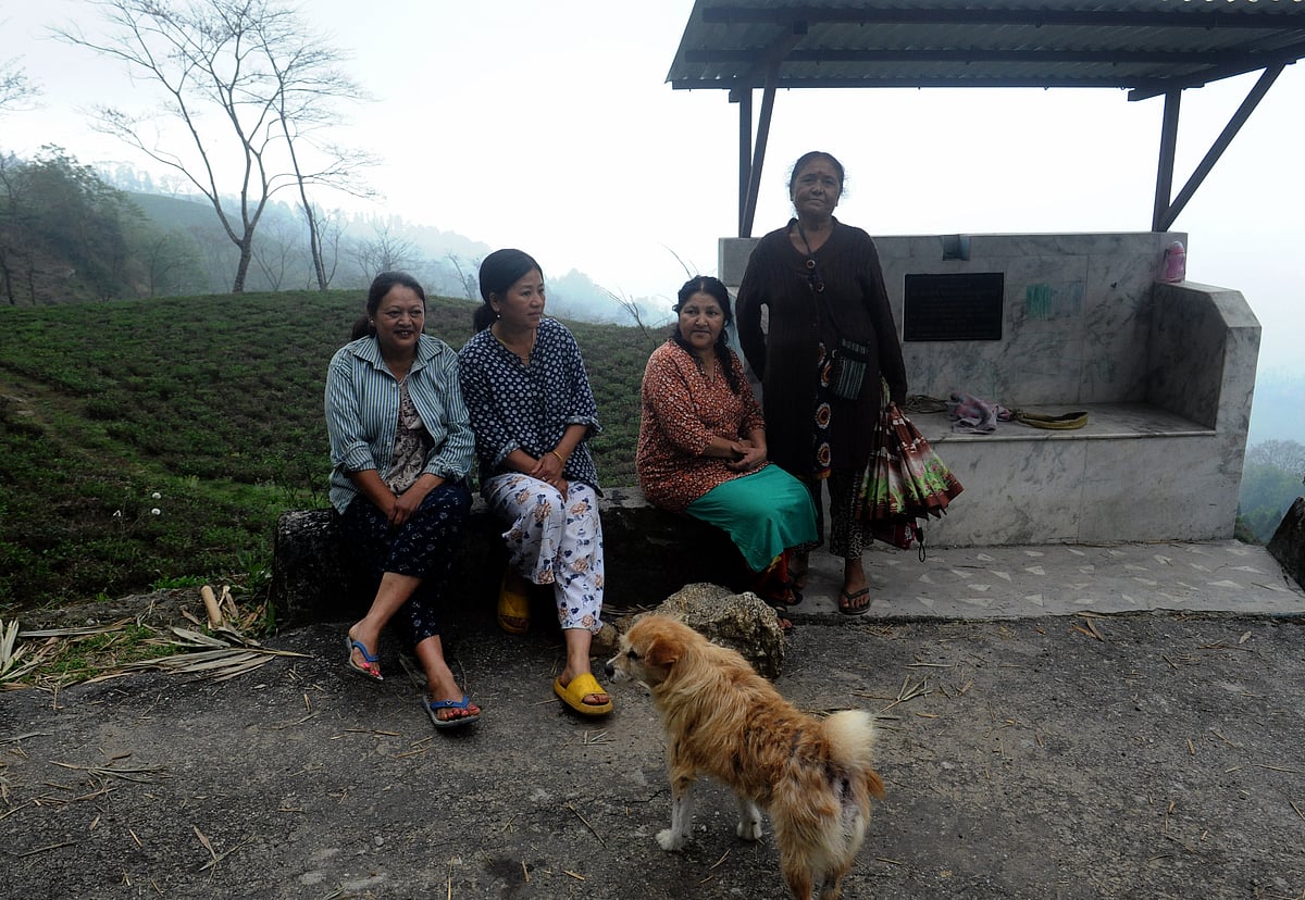 Darjeeling, West Bengal_Photo_3