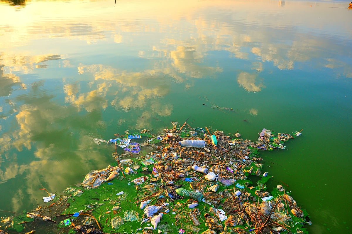 Colossal Biosciences-Gestated Startup, Breaking, Announces Breakthrough In The Global Fight Against Plastic