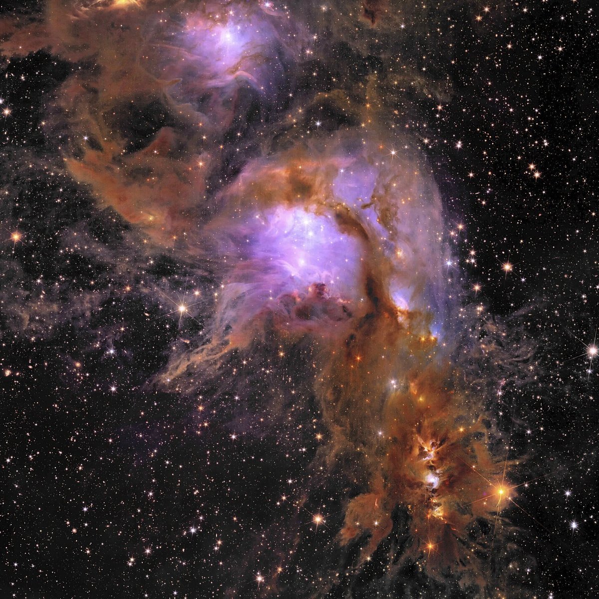AP : Euclid's new image of star forming region Messier 78.