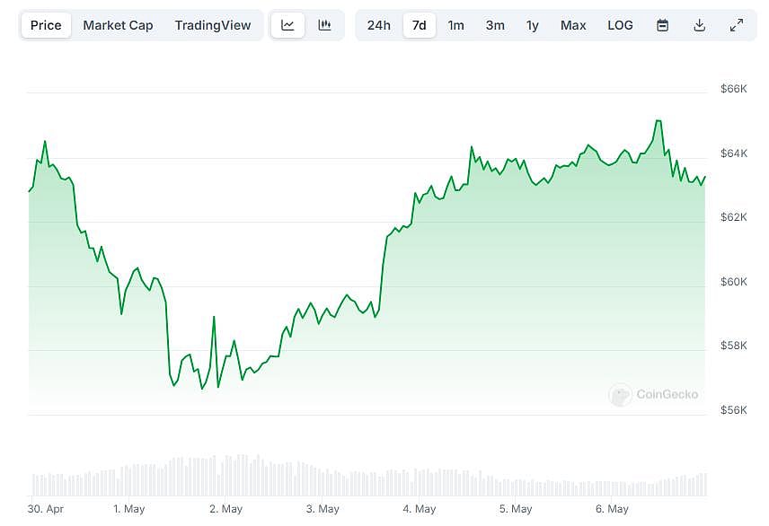 Bitcoin Price Rises