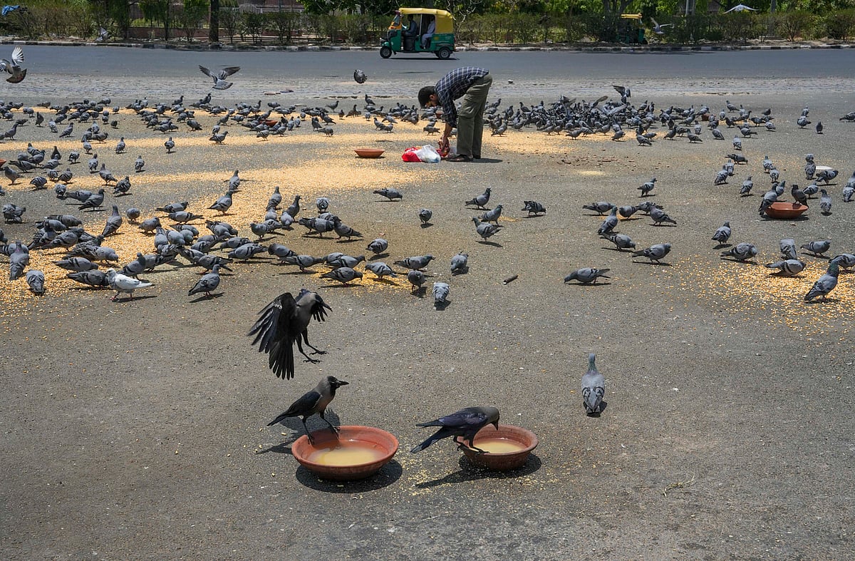 India Heat waves photo_4