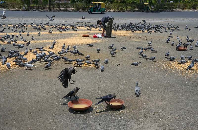 India Heat waves photo_4