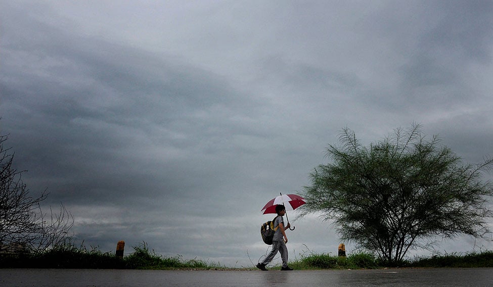 PTI : Heavy rain forecast in Ooty |