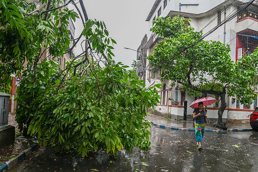 Aftermath of Cyclone Remal_photo_8