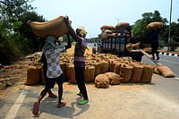 Western Odisha: Distressed Farmers Demand Sustainable Solutions Amid Electoral Promises Of High MSP, Free Power Sandipan Chatterjee : Lack of a well-functioning market for the sale of paddy is one of the biggest problem for local farmers.