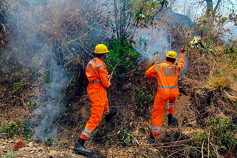 Kumaon Forest Fire