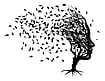 Decoding Life After Loss: A Daughter's Meditative Journey Decoding Life After Loss: A Daughter's Meditative Journey