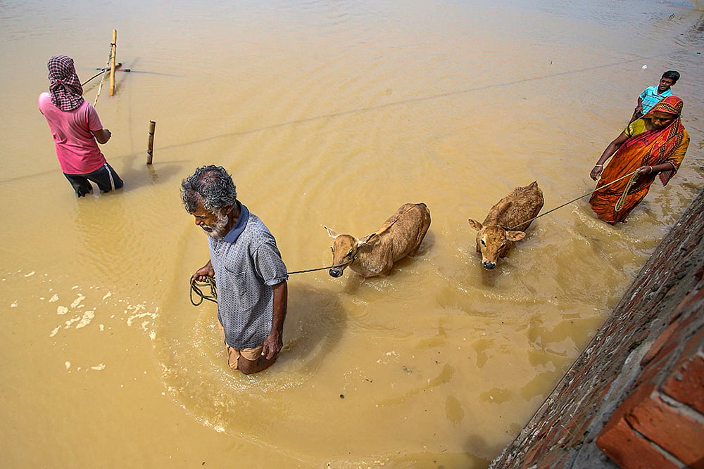 Cyclone Remal Aftermath photo_5