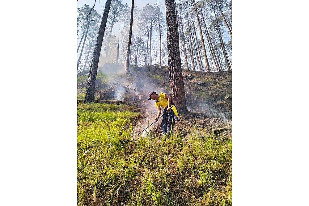 North India forest fires photos_9