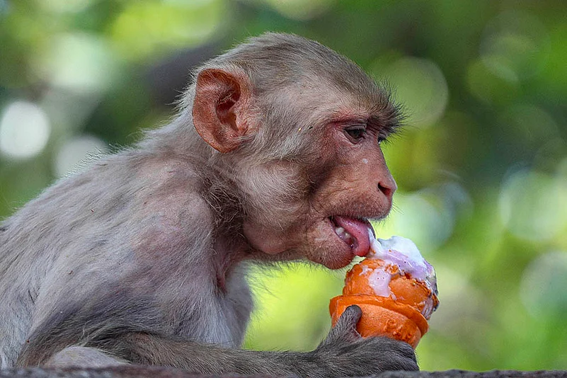 Heatwave: Scorching heat in Jammu
