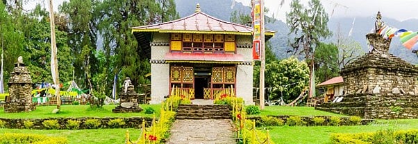 Dubdi Monasterys small temple in the midst of a vibrant green field.