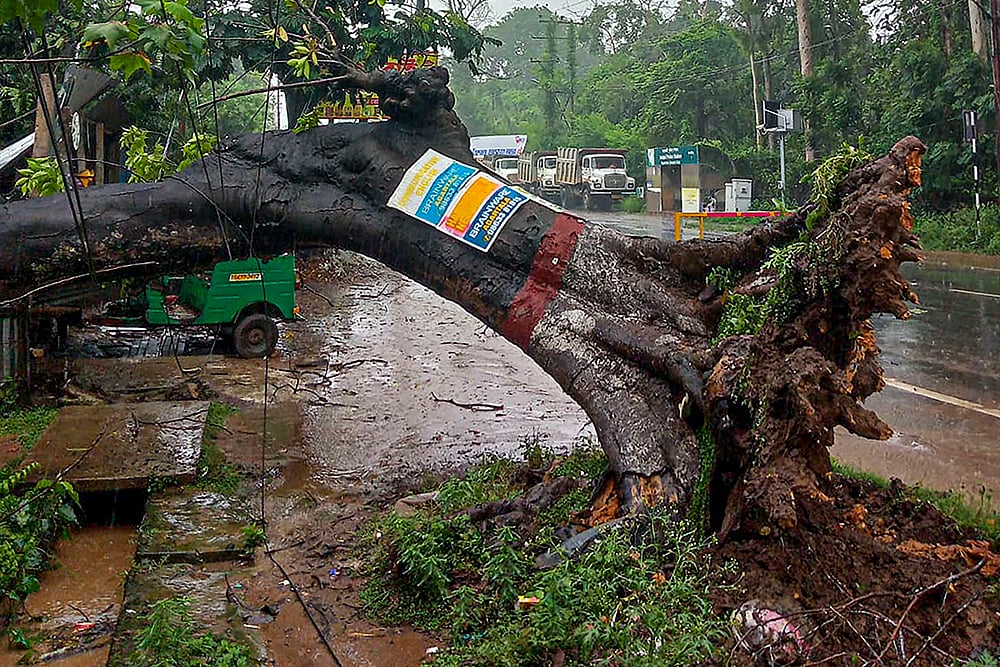 Cyclone Remal Aftermath photo_12