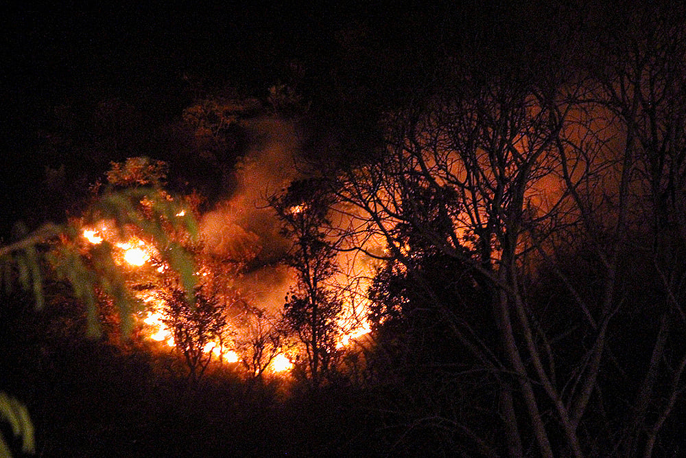 Forest fire in Uttarakhand