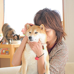 kabochan.blog.jp : The dog belonged to shiba inu breed