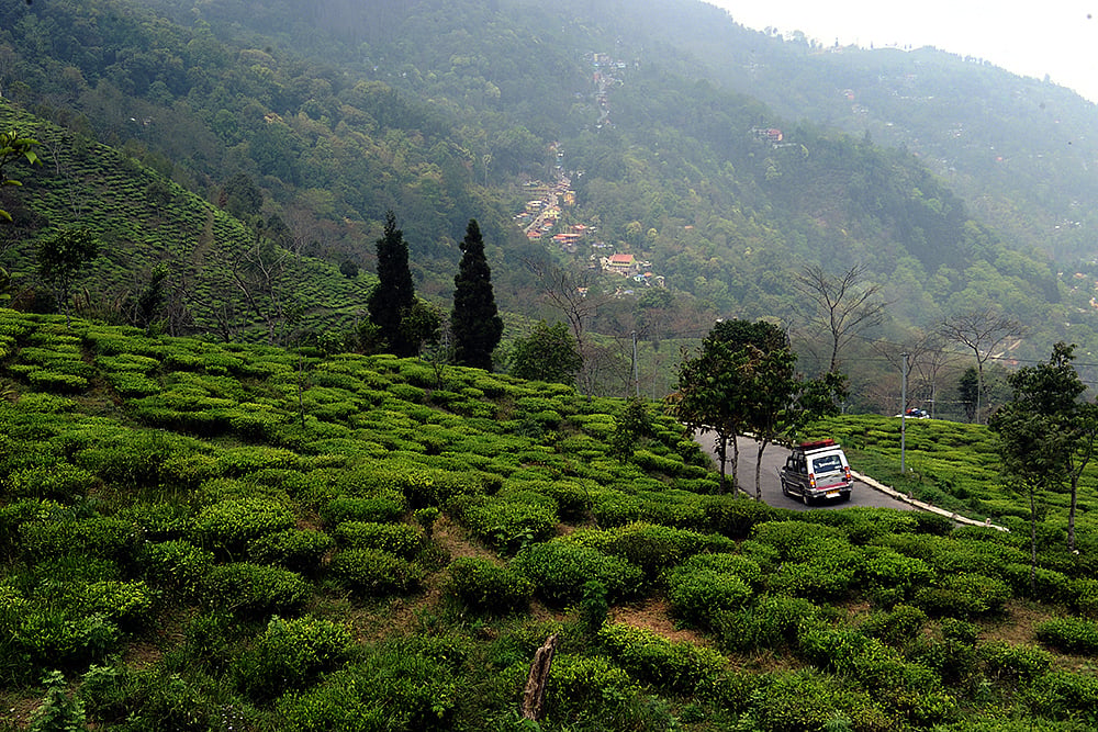 Darjeeling, West Bengal_Photo_2