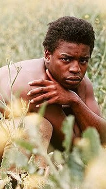 Roots