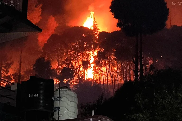 Pauri forest fire - Photo: PTI