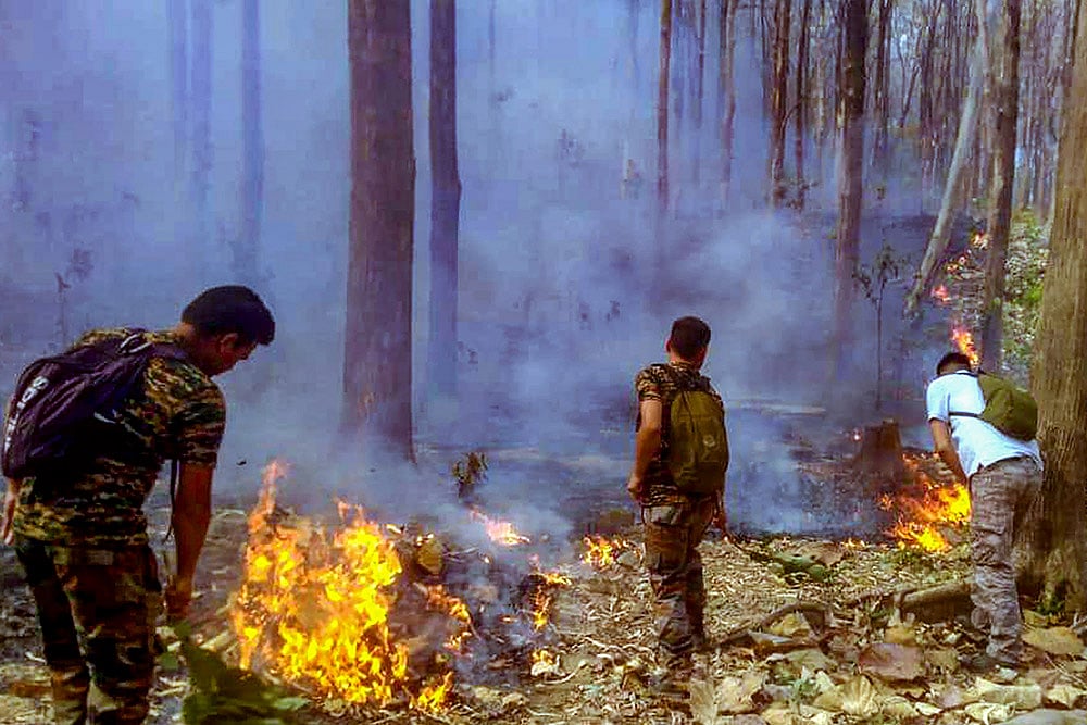 Forest Fires Nainital