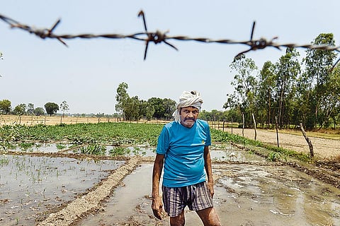 A farmer in Benipur village, Amethi, who is struggling to keep his crops safe from stray cattle