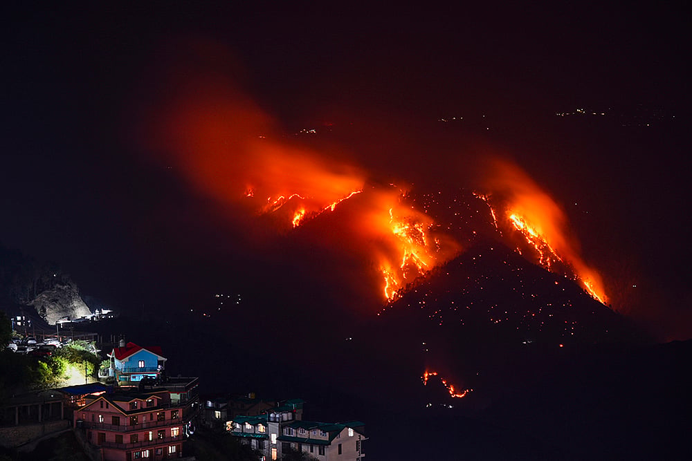 North India forest fires photos_7