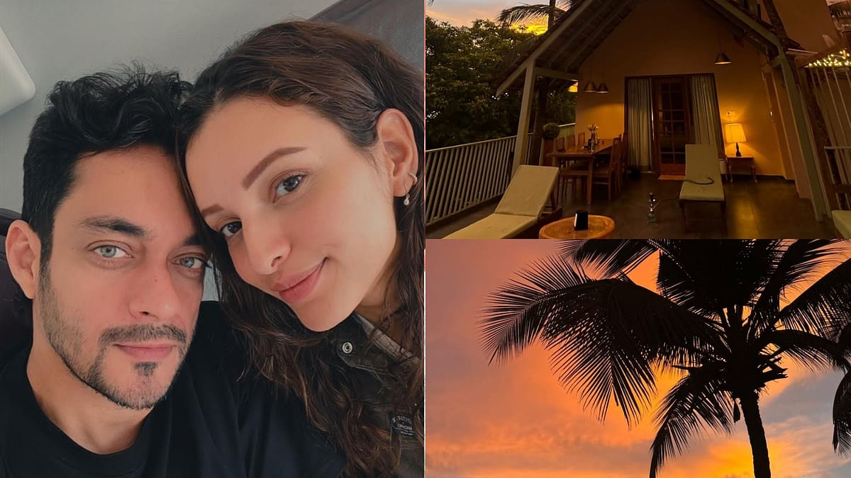 Instagram : Triptii Dimri and Sam Merchant's vacation posts