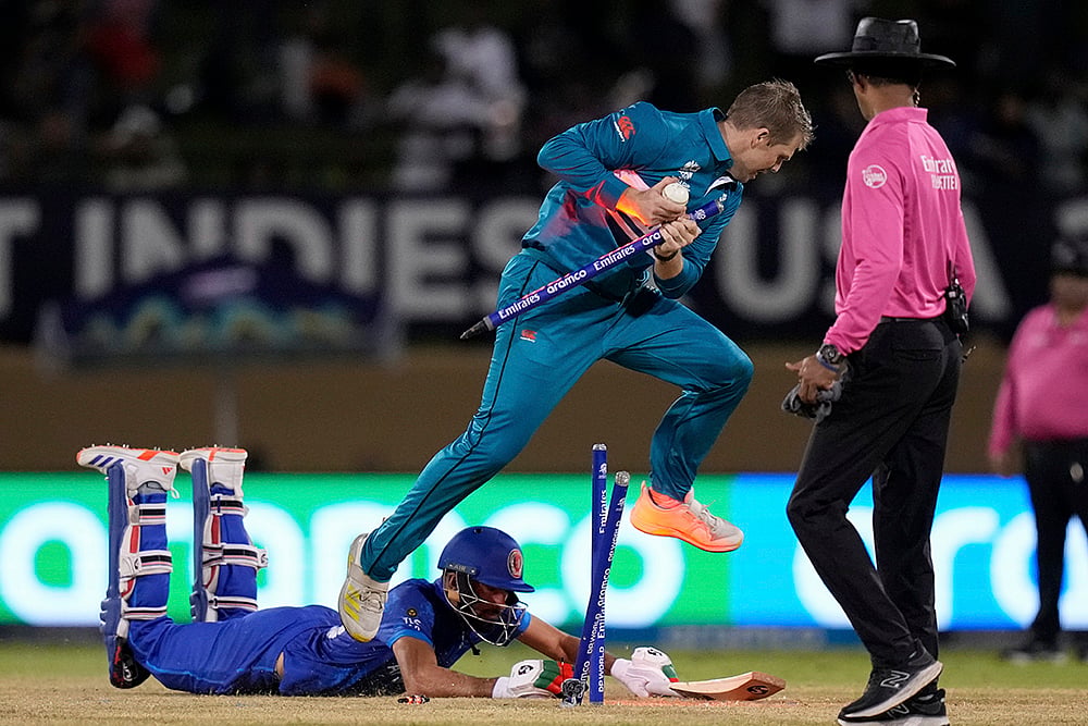 T20 World Cup New Zealand vs Afghanistan photo_7
