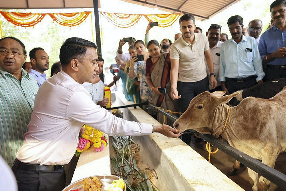 Stray cattle Management scheme in Goa