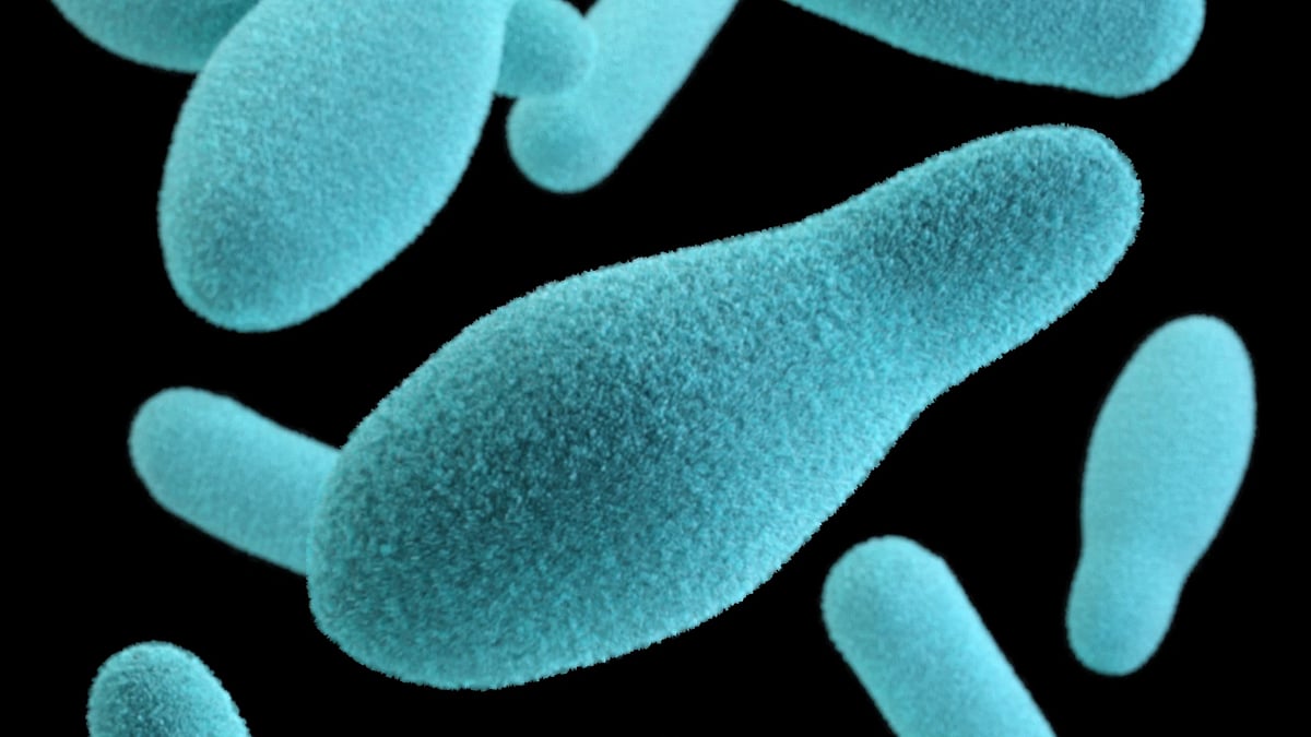 Centers for Disease Control and Prevention (CDC) : Botulism is a rare but serious illness. 