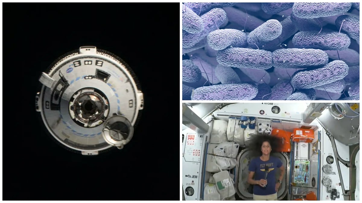 Multi-Drug Resistant 'Superbug' On Space Station Sparks Health Concerns For Sunita Williams, Other Astronauts  