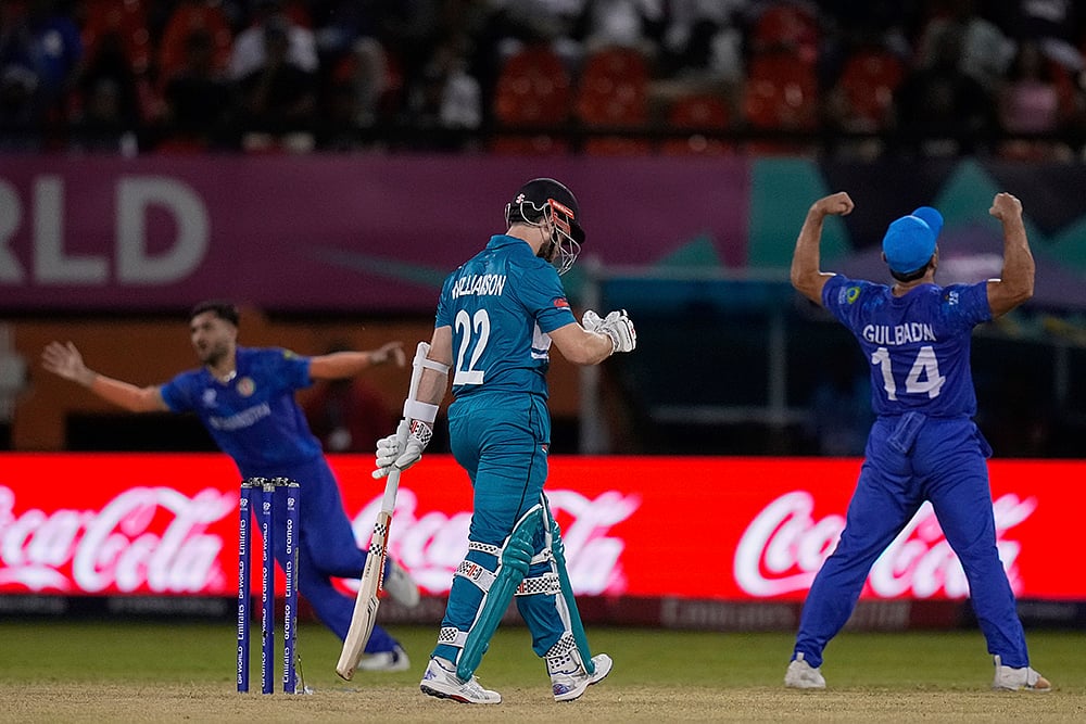T20 World Cup New Zealand vs Afghanistan photo_2
