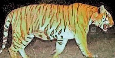 PTI