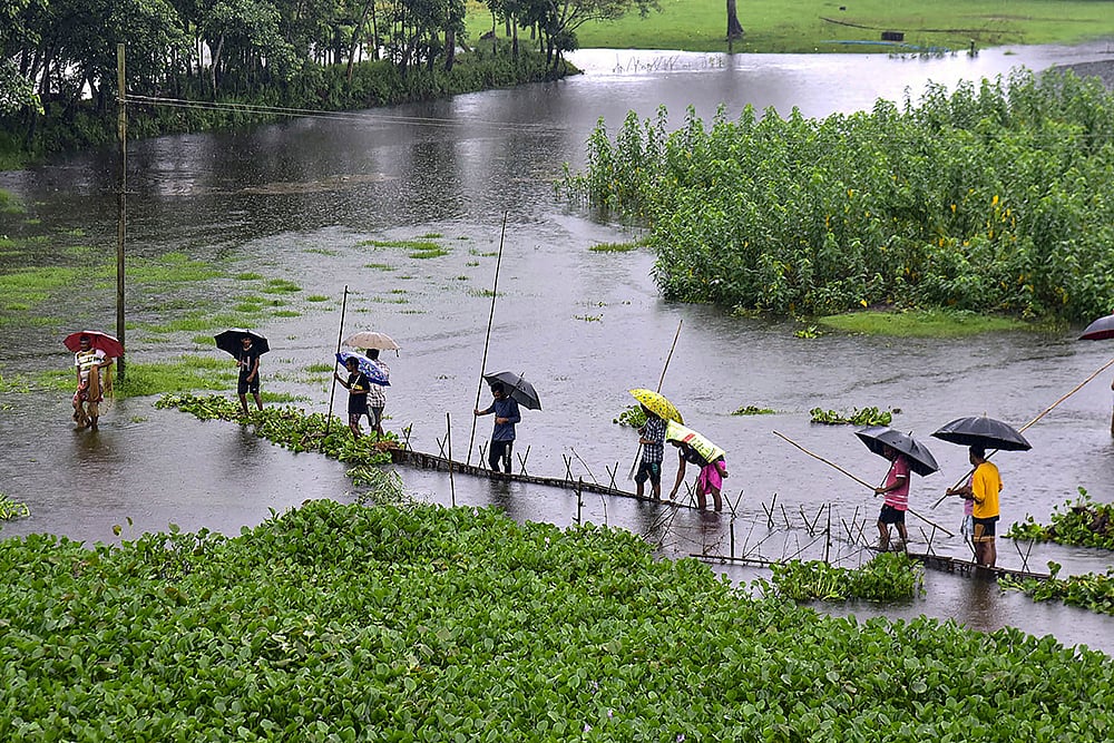 Floods in Assam due to rain_9