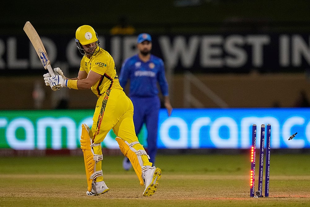 2024 T20 Cricket World Cup Afghanistan vs Uganda photo_2