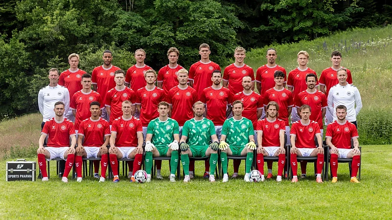 denmark national football team for euro 2024 X @dbulandshold