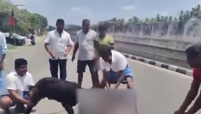 X : The BJP's Tamil Nadu unit on Thursday responded strongly and demanded action over the video.
