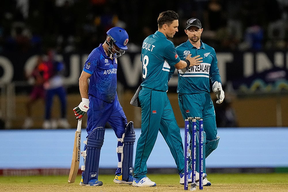 T20 World Cup New Zealand vs Afghanistan photo_6