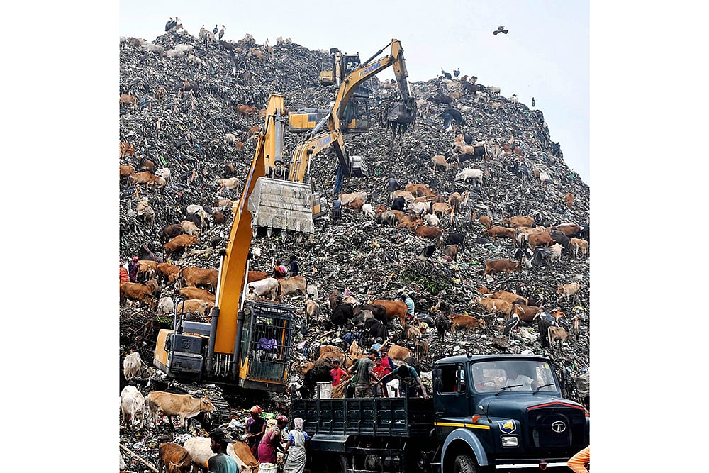 World Environment Day Photo_3