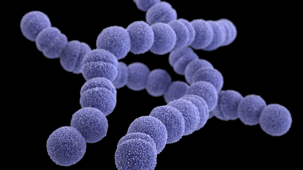 Centers for Disease Control and Prevention (CDC)