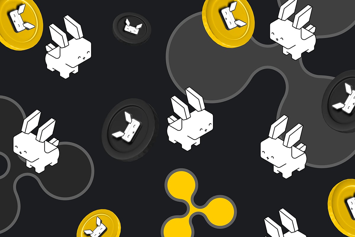 XRP Trades Red, As Raboo Outshines Meme Coin Opponent FLOKI With Outstanding Gains