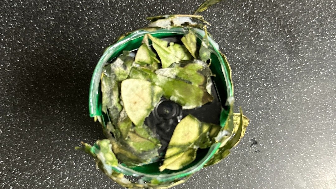 Alhambra Police Department : Hidden camera was discovered concealed in bushes 