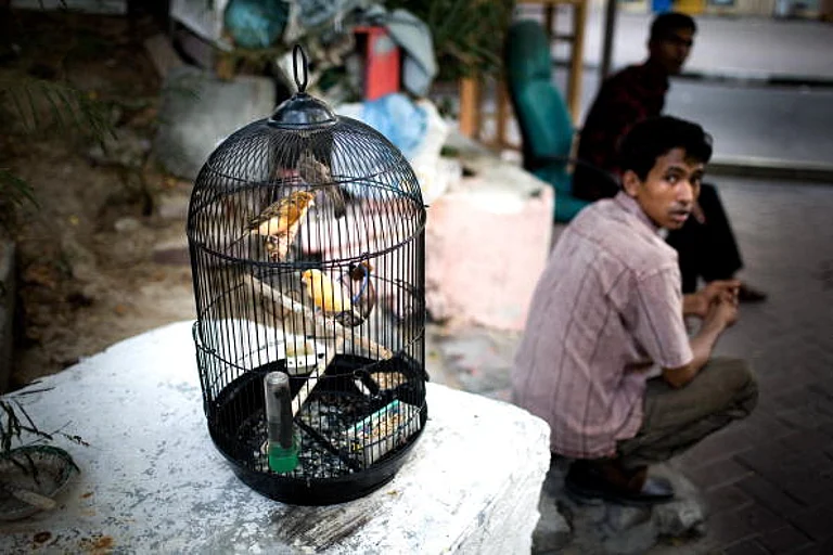 Migrant workers and pet canaries in a cage July 19, 2008 on the streets in Dubai - Getty Images