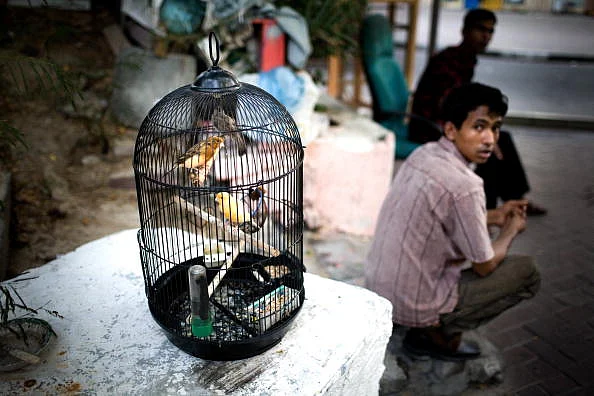 Migrant workers and pet canaries in a cage July 19, 2008 on the streets in Dubai