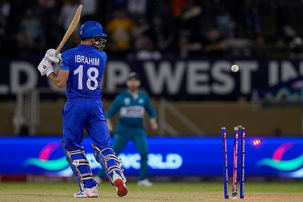 T20 World Cup New Zealand vs Afghanistan photo_8