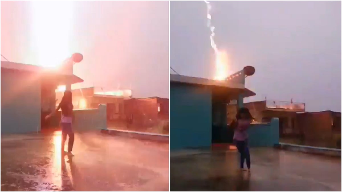 Screengrab of the viral video. |  - X/@sdcworldoff