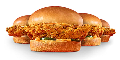 Chicken burger meals