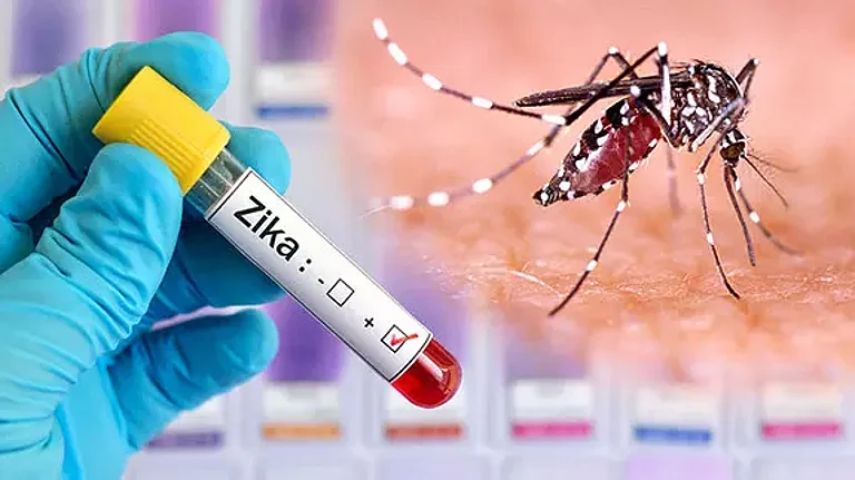 Union Health Ministry issues advisory on Zika virus.(Representational image) | - PTI