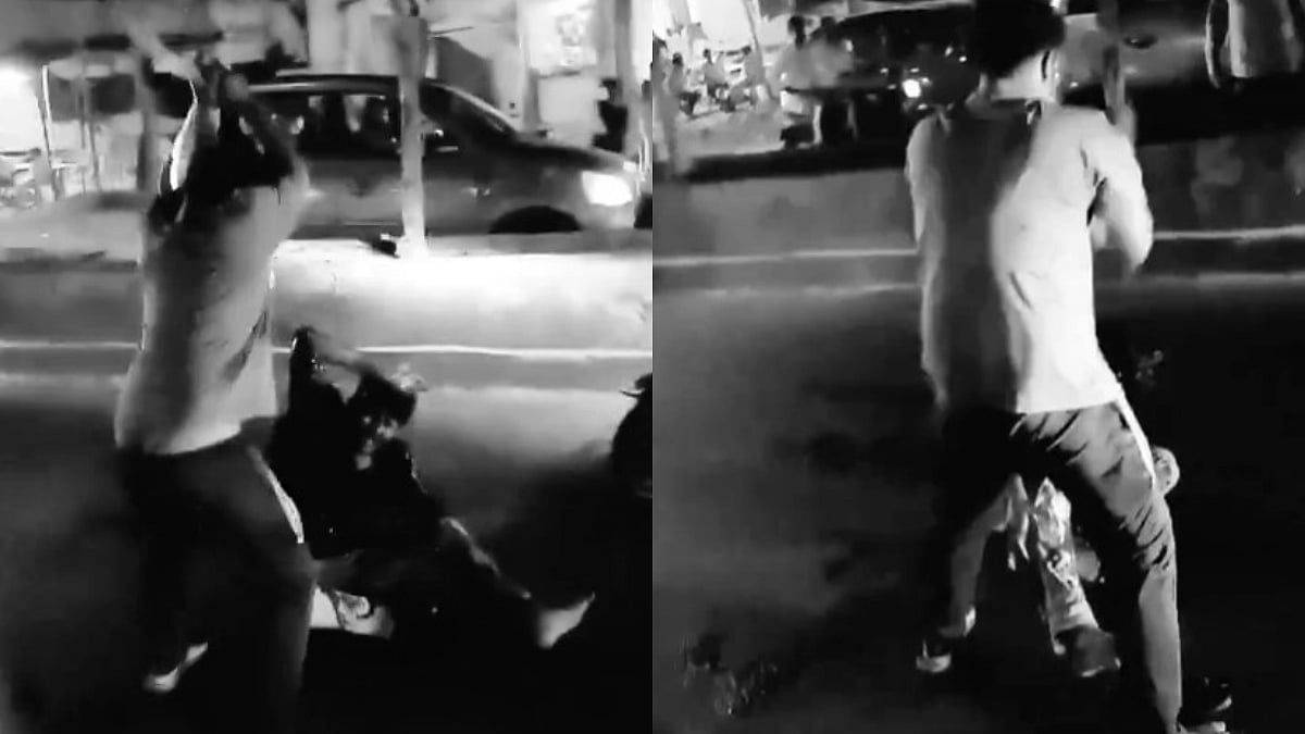 Screengrab from the video of the incident | 