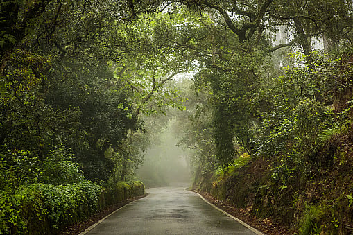 Getty Images : representative image